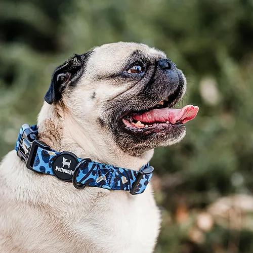 Pet Lounge Blue Leopard Collar para Perro