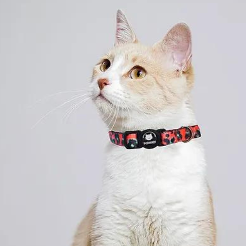 Wil Cats Coral Leopard  Collar de Gato