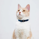 Pet Lounge Wil Cats Blue Leopard  Collar de Gato