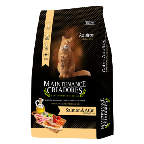 Maintenance Criadores Gato Adulto Salmón Atún 1Kg